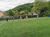 IMG_20250512_110821